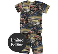 Thomas Nightwear